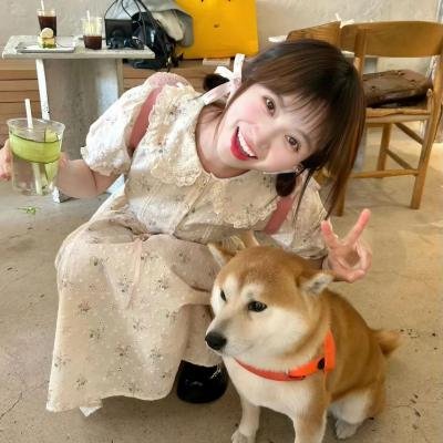 真假僵尸
